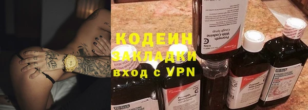 МДПВ Бородино