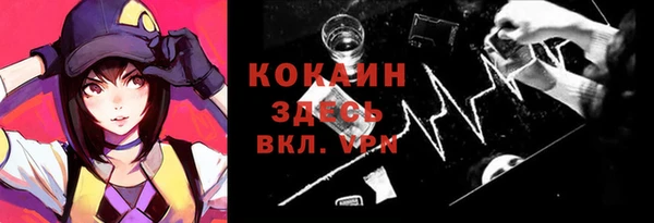 МДПВ Бородино