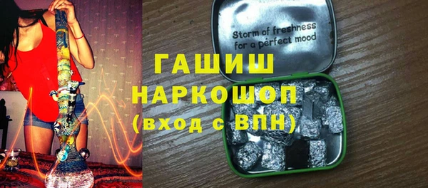 МДПВ Бородино