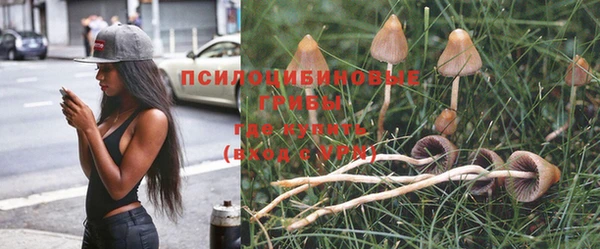 МДПВ Бородино