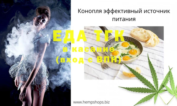 МДПВ Бородино