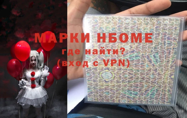 МДПВ Бородино
