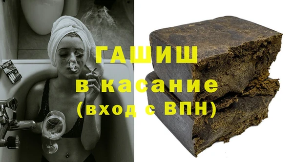 МДПВ Бородино