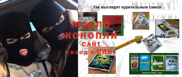 МДПВ Бородино