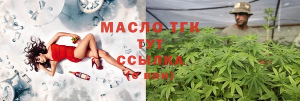 молекула духа Бугульма