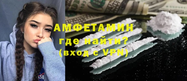 МДПВ Бородино