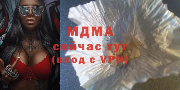 МДПВ Бородино