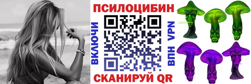 Купить закладки  Андреаполь  Галлюциногенные грибы мухоморы 